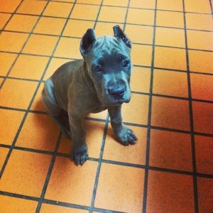 Meet your Posher, Kristen